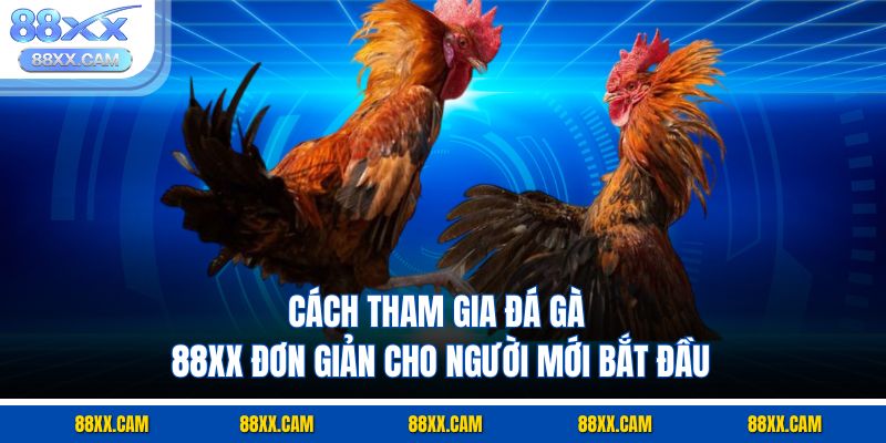 Cách tham gia đá gà 88XX đơn giản cho người mới bắt đầu Cách tham gia đá gà 88XX đơn giản cho người mới bắt đầu