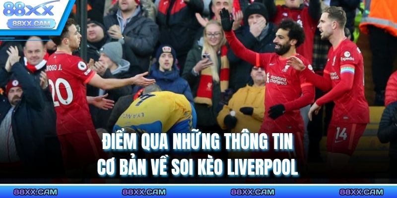 Điểm qua những thông tin cơ bản về soi kèo Liverpool